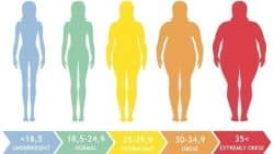 Can Exercise Fix Fat