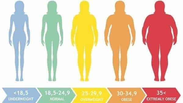 Can Exercise Fix Fat